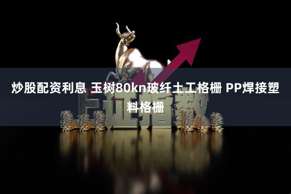 炒股配资利息 玉树80kn玻纤土工格栅 PP焊接塑料格栅