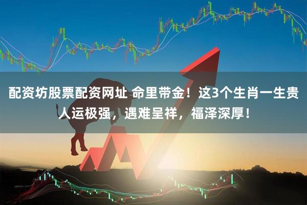 配资坊股票配资网址 命里带金！这3个生肖一生贵人运极强，遇难呈祥，福泽深厚！